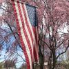 patriotmom2028