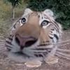 ruind_4eye