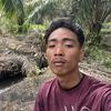 SAYA INI