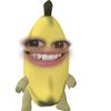 ini_aq