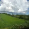 deetweets