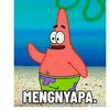 ibumupastibangga