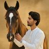 mfarooqtunio