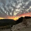 saradler_