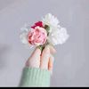 ali.rajput5333
