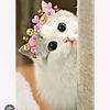 haris.waqar2