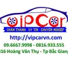 vipcarvn.com