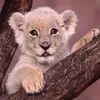nannie_44_