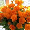 margo608543