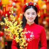cindynguyen1901
