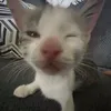 artrdhhfhjj24
