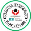 pemudabergerak2024