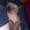 noeme028