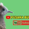 Pusaka burung