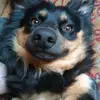 adamek5865