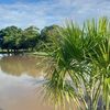rositavallejo063