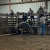 don_nelson_22
