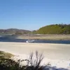 wilyyg