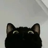 nmiht_0