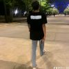 dino_adi.s