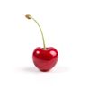 cherryberry3848