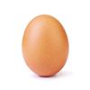 mr.egg.god