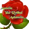 rosarosmini298