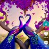 abdursattar243