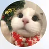 _thanhtam09