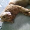 ksmtd_