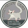 sunny.gliders.binjai