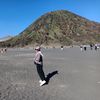 wardah.nl