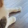 lemons_melon