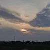 kimjingtaek