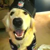 abcdef____._