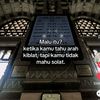 muzikw5