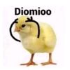 noname123444442