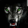 malak__saib_
