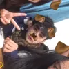 meomeo180306