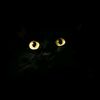 lmomcat