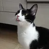hmrv8