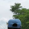 cyx_q