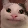 goi_to_la_nam9