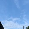 wongmeret444