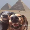 dangkhoideptraiso1