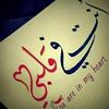 user8442021742676