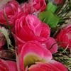 allaha_inam12