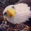 jason_2991