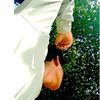 vaukal_