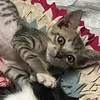 _behao03